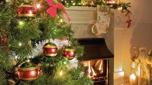 Aby vánoční stromek dlouho vydržel: Neodstraňujte kúru a pozor na teplotní šoky