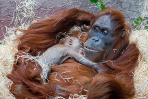 Zoo Praha