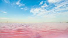 Růžové jezero Hillier: pohřebiště jednorožců, nebo hříčka přírody?
