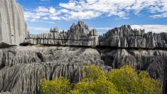 Kameny ostré jako jehly. Národní park na Madagaskaru zkrášlují špičaté tsingy