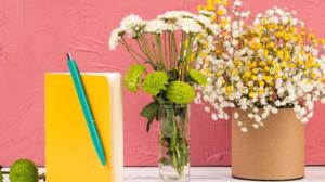 Jak zpříjemnit kancelář: tipy, které zútulní váš pracovní prostor