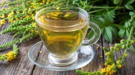 Podceňovaný řepík je skoro všelék. Naši předkové mu dokonce přisuzovali magické účinky