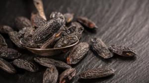 Tonka fazole: Dokáže zastoupit vanilku. Jen pozor na dávkování. Ve velkém množství škodí Tonka fazole: Dokáže zastoupit vanilku. Jen pozor na dávkování. Ve velkém množství škodí