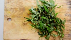 Rdesno vonné: "Koriandr na steroidech" tlumí milostné choutky a v kuchyni umí zázraky