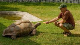 Zákulisní drby ze seriálu ZOO: Herci odcházejí s nacpanými břichy i kyticemi