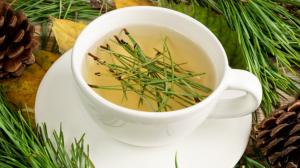 Čaj z borovicového jehličí pomáhá už tisíce let. Proč a jak si ho připravit?