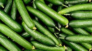 Okurková sezóna v plném proudu: Hadovka pomůže od kocoviny a je skvělá do limonád