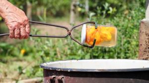 Zavařování pod duchnou a &quot;trocha plísně nevadí&quot;: Mýty, které vás mohou stát úrodu i zdraví