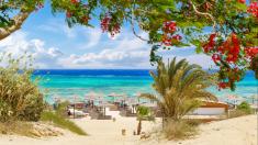 V Egyptě začali zavírat hotely. Turisty odvážejí do náhradního ubytování i 200 kilometrů daleko