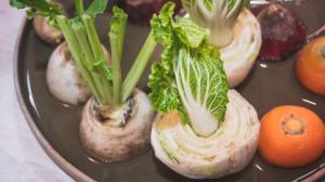 Pěstování ze zbytků: Regrowing je nový trend, který šetří (nejen) peníze Pěstování ze zbytků: Regrowing je nový trend, který šetří (nejen) peníze