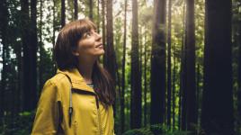 Shinrin-Yoku: vyzkoušej umění lesní koupele a zbav se podzimního stresu