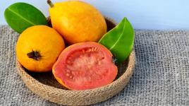 Exotická guava strčí do kapsy i pomeranč. Vitamínu C obsahuje až 5x víc a tím nekončí