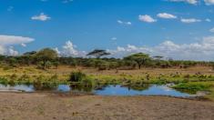 Luxusní stany nebo 1,5 milionu pakoňů. To je národní park Serengeti