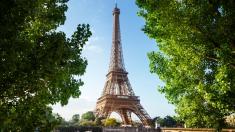 Lehce bizarní momenty v dějinách Eiffelovky. Nahoře byla i kráva
