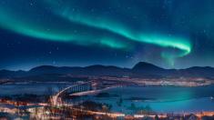 Velryby, sobí farmy, tuleni i polární záře. Seznam věcí, které můžete zažít během týdne v Tromsø