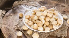 Makadamové ořechy: pochoutka, která chutná po másle a vanilce posiluje mozek i kosti