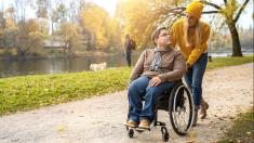 Tipy na výlety pro vozíčkáře: projeďte se Českým Švýcarskem i korunami krkonošských stromů