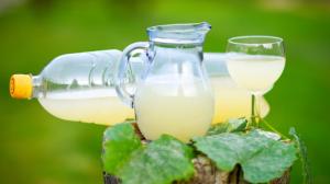 Burčák: Pokud v něm ucítíte droždí, není to špatně. Na přílišnou sladkost a hnědou barvu ale pozor Burčák: Pokud v něm ucítíte droždí, není to špatně. Na přílišnou sladkost a hnědou barvu ale pozor