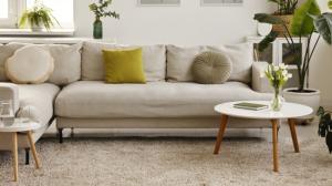 Feng-šuej v interiéru: Pozor na starožitnosti, ale i pokojovky se špičatými listy!