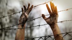 Nejdrsnější věznice světa: V severokorejském Táboře č. 14 pracují do roztrhání těla, jedí hady a kopou si vlastní hroby