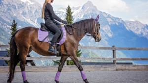 Jezdecké potřeby na koně: Když se styl spojí s elegancí