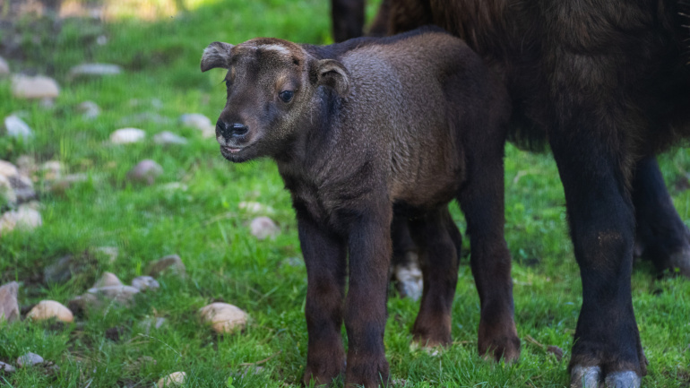 ZOO Praha