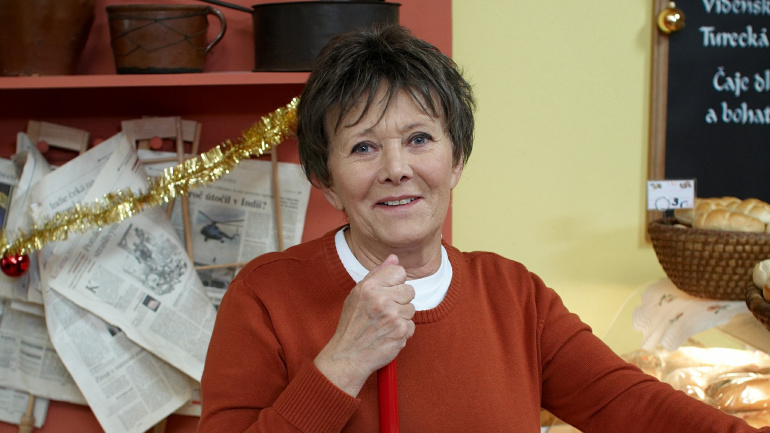 Ulice, Zdena Hadrbolcová