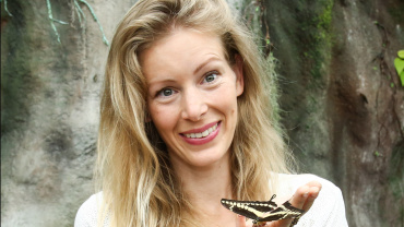 Anna Kulovaná, motýli