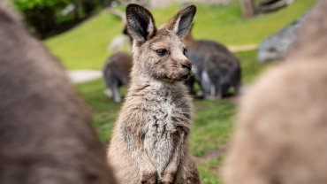 Zoo Praha