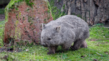 Zoo Praha