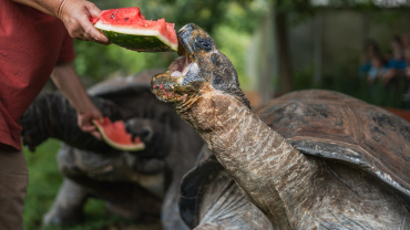 Zoo Praha