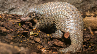 Zoo Praha