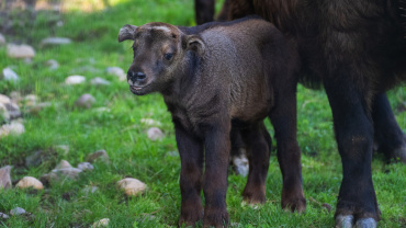 ZOO Praha