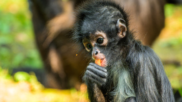 Zoo Praha