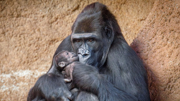 Zoo Praha