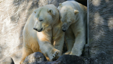 Zoo Praha