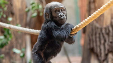 Zoo Praha