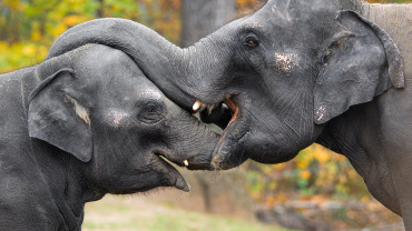 Zoo Praha