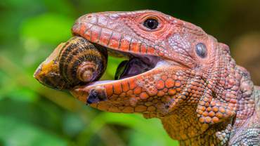 Zoo Praha
