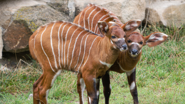 Zoo Praha