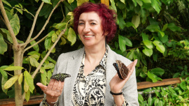 Simona Babčáková