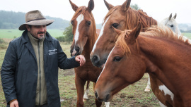 Farma Vojty Kotka, Vojtěch Kotek