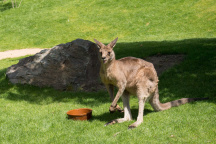 Zoo Praha