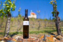 Vinotéka sv. Klára