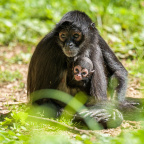 Zoo Praha