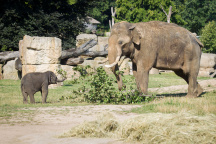 Zoo Praha