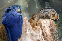 Zoo Praha