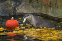 Zoo Praha