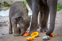 Zoo Praha