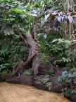 Botanická zahrada v Tróji, skleník Fata Morgana 